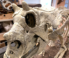 Gallery Image Esthetique #19