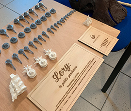 Gallery Image Esthetique #7