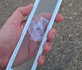 Gallery Image Support #25